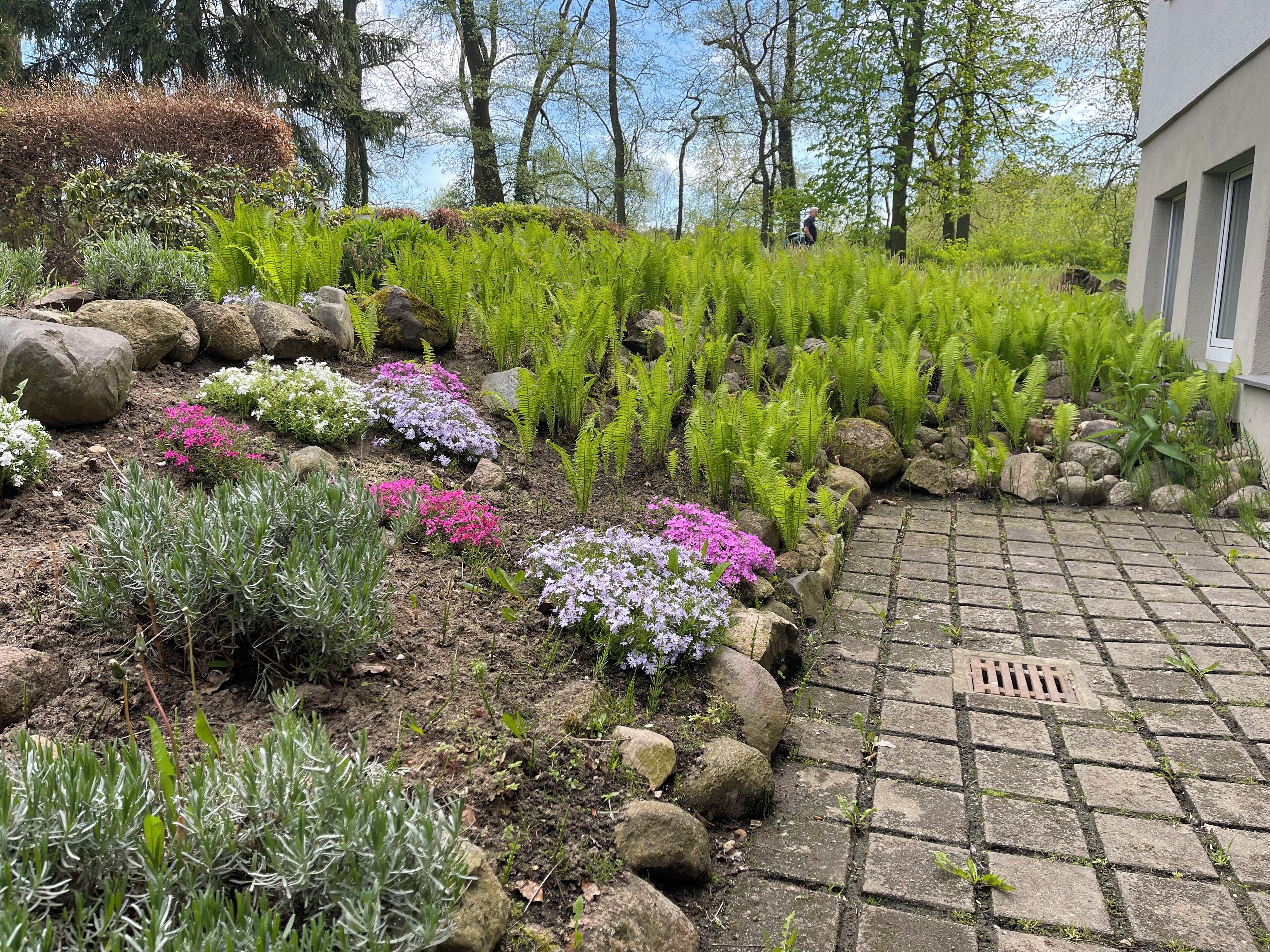 Ein Garten mit verschiedenen Pflanzen und einem Kiesweg.