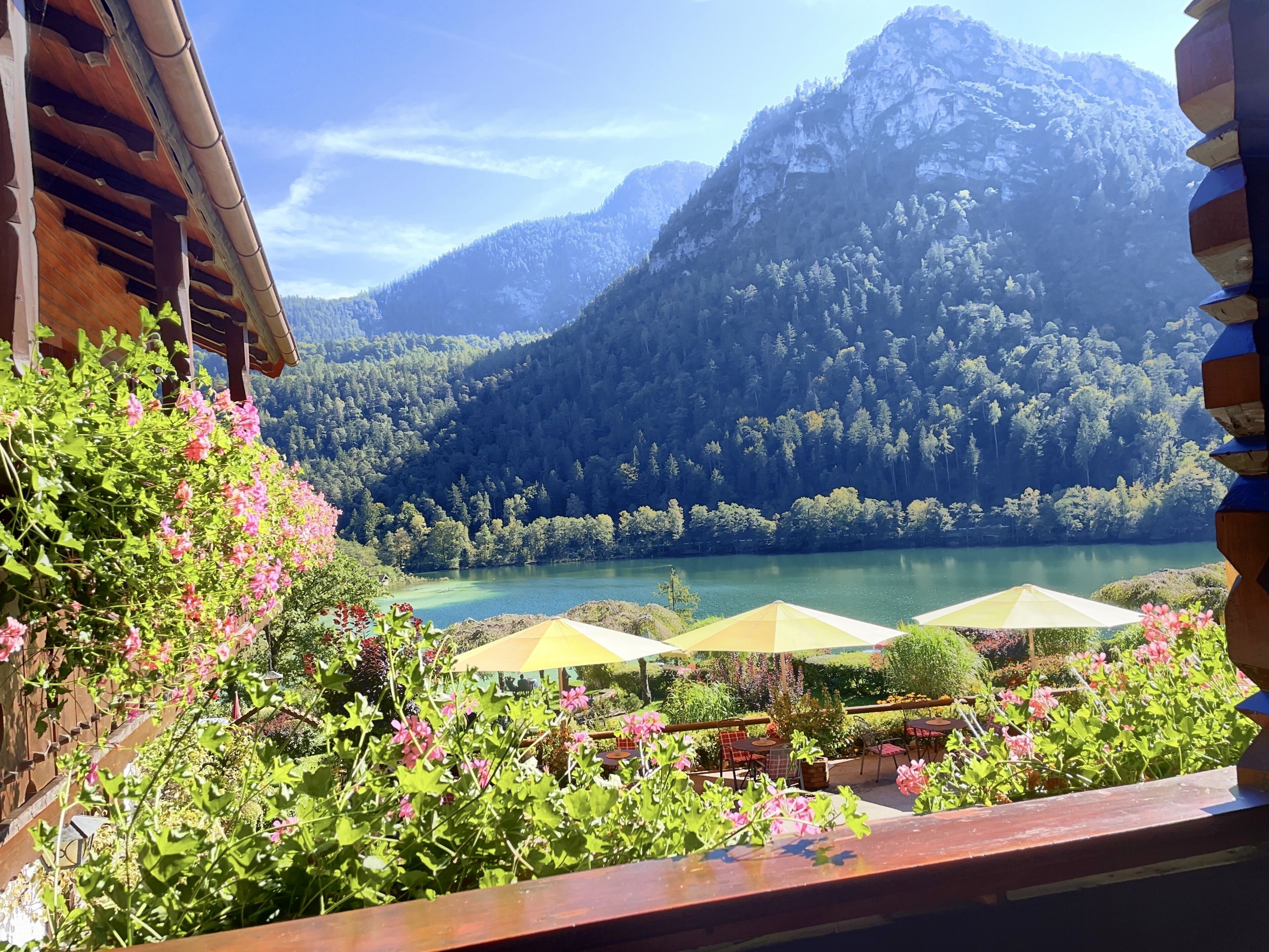 Einzelzimmer mit Balkon oder Terrasse | Ausblick vom Zimmer