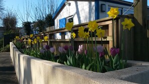 Reception - Camping Les Peupliers (Pouldreuzic)