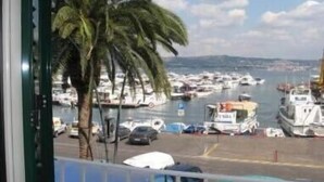 A marina with boats docked, palm trees, and a view of the water. - La Rada B&B (Bacoli)