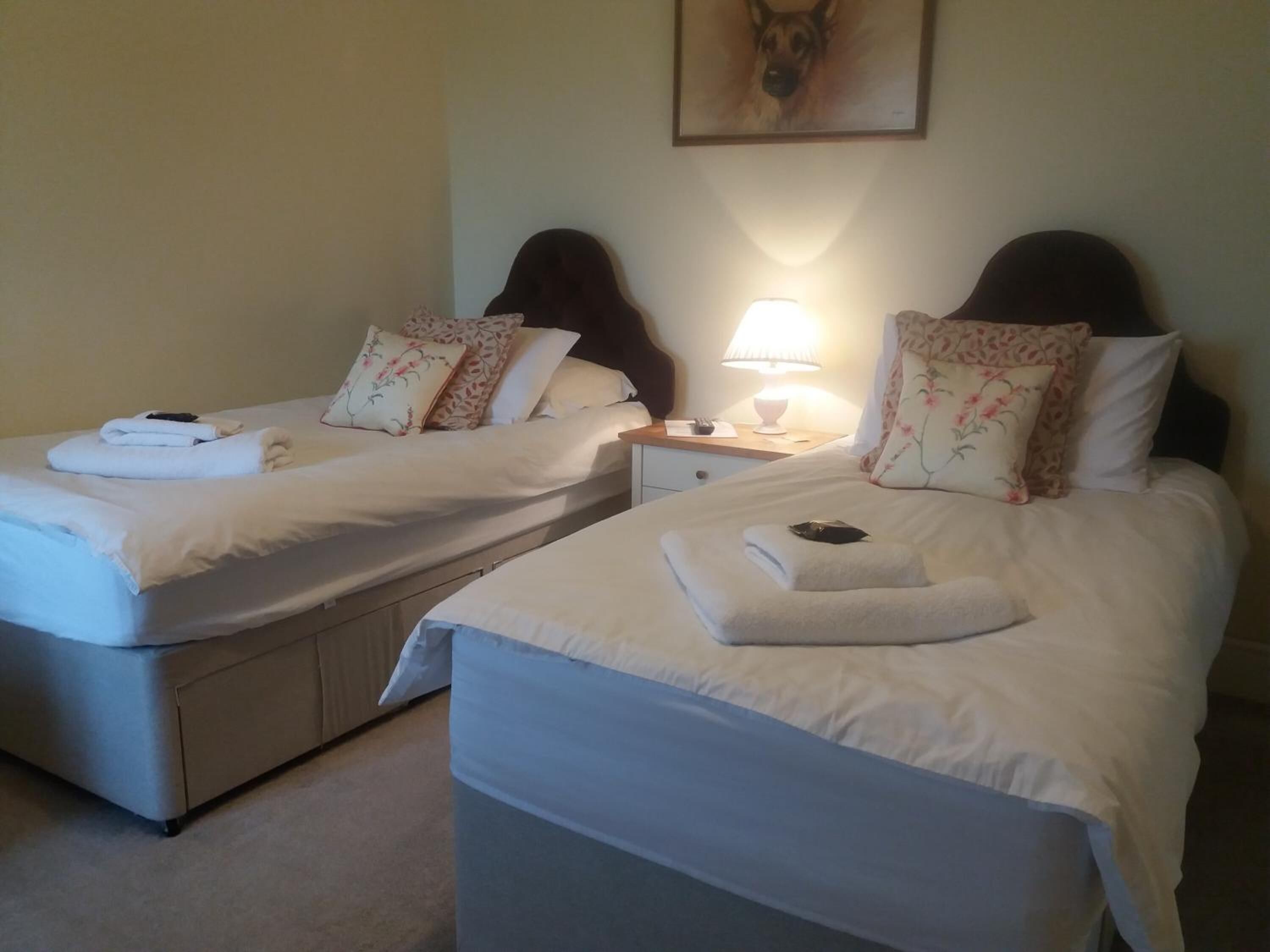 Two twin beds with white linens, each with a folded towel and a pillow with floral patterns. There is a nightstand with a lamp between the beds.