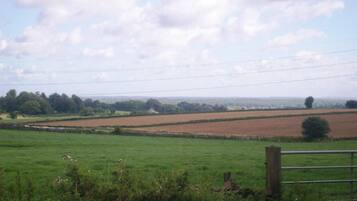 A rural landscape with fields, a stone wall, and a wooden fence.