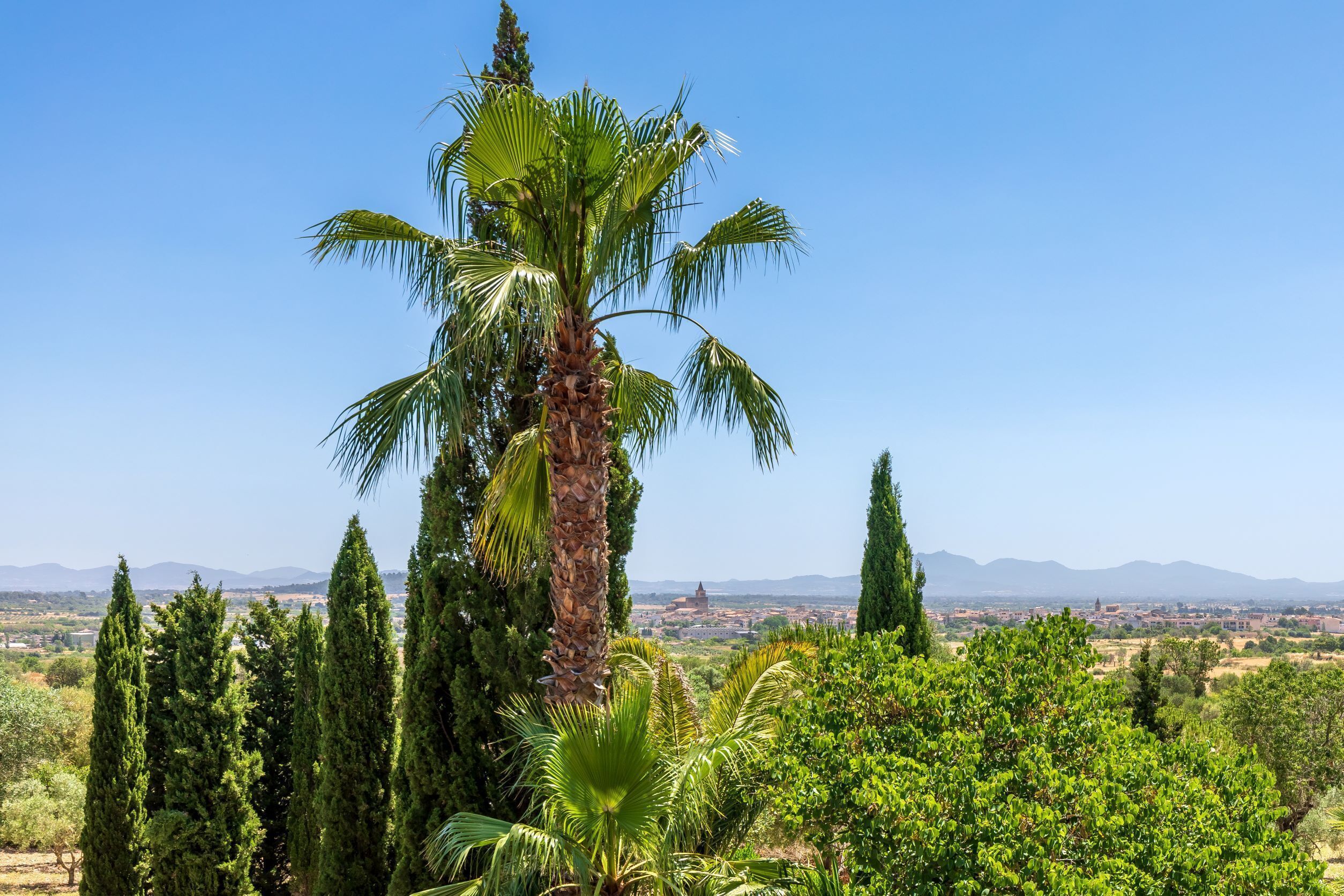 Foto - Finca Son Jorbo - Adults only