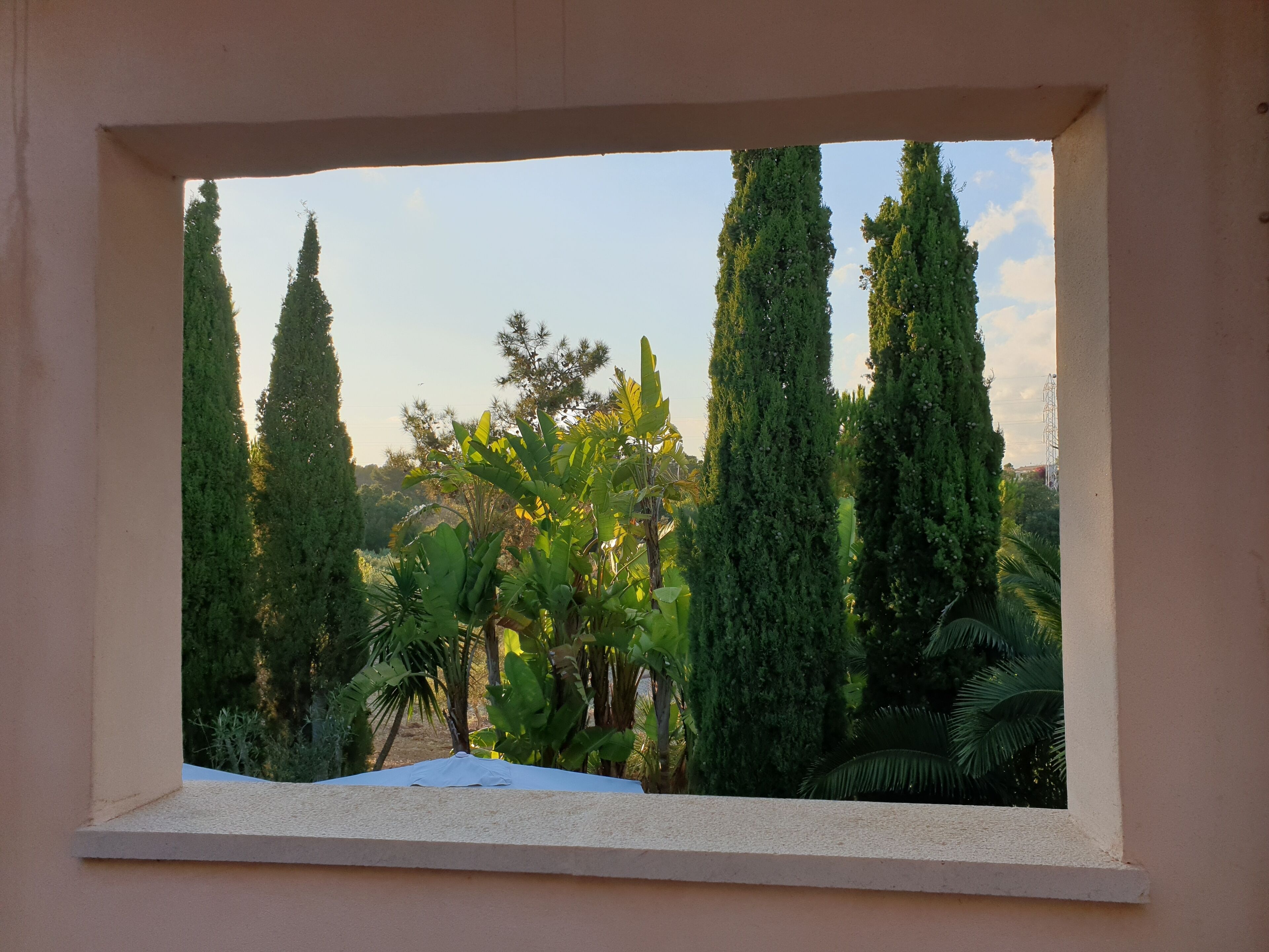 Foto - Finca Son Jorbo - Adults only