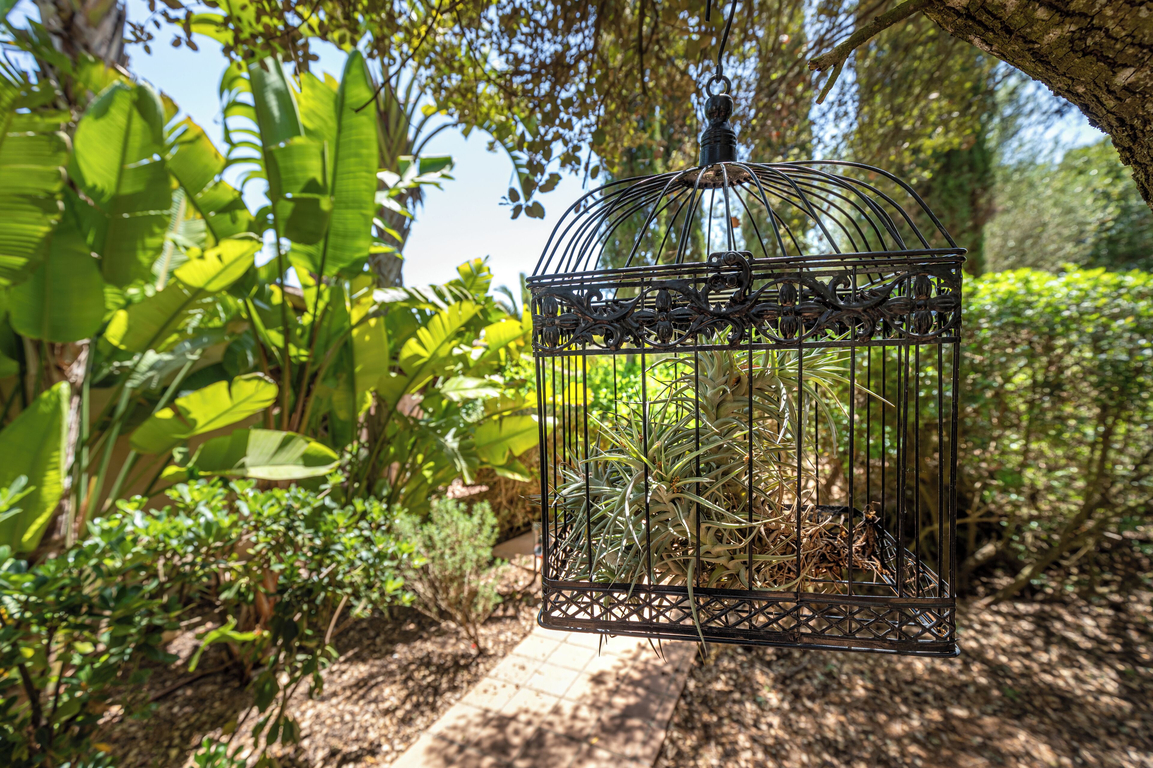 Foto - Finca Son Jorbo - Adults only