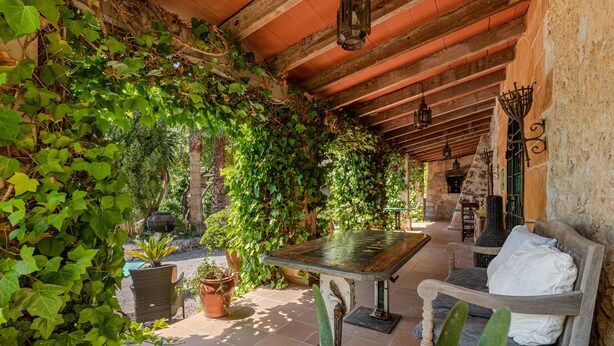 Un patio abrité doté d’un plafond en bois rustique, d’une table et d’un banc.