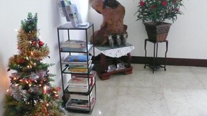 A room with a Christmas tree, a bookshelf with books, a decorative horse sculpture, and a potted plant. - Guoguang B&B (Hualien City)