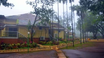 Vista desde la propiedad