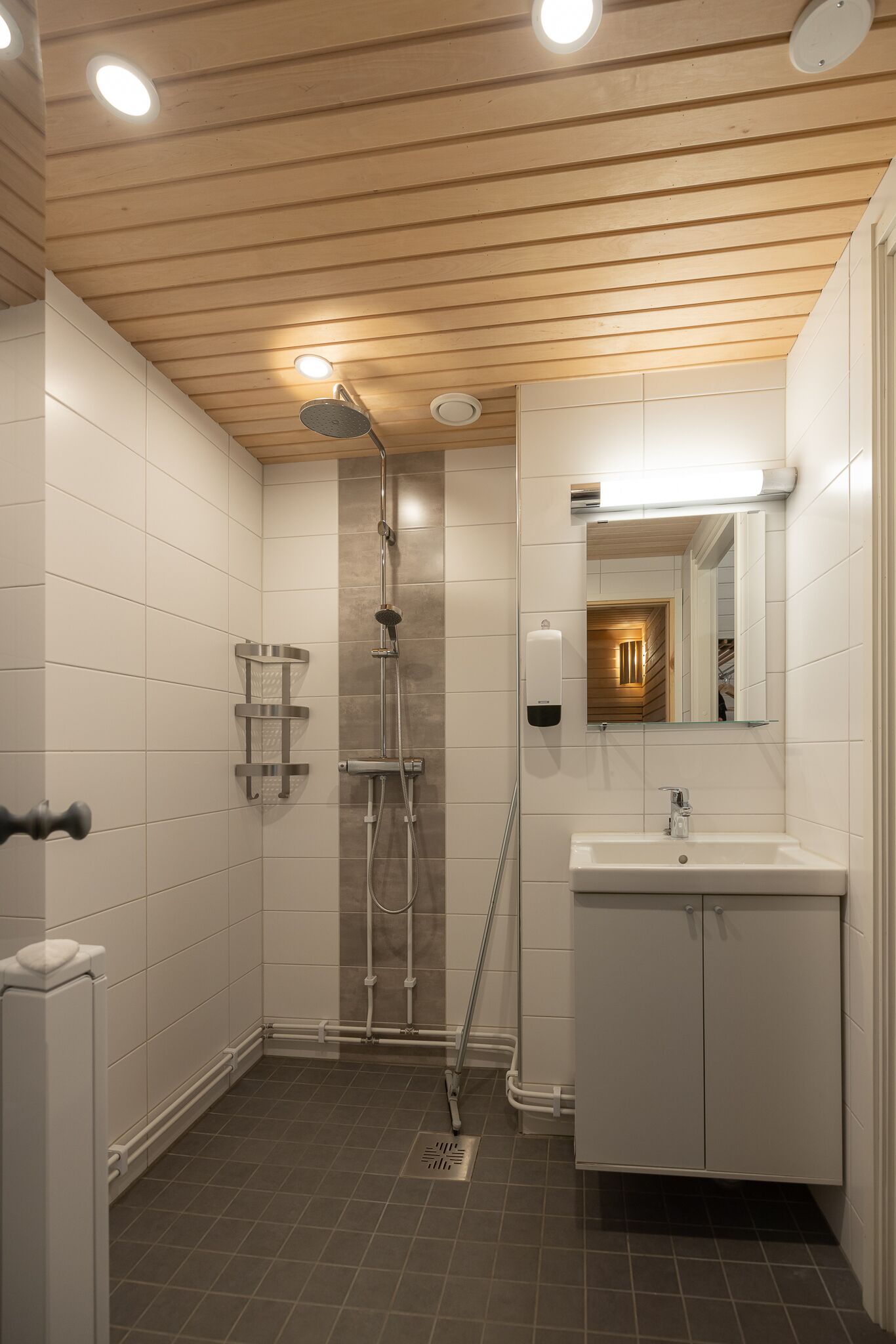 A modern bathroom with a shower, a sink, and a mirror.