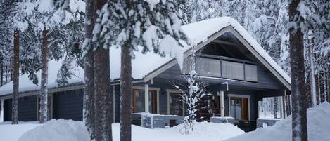 Cottage, 1 chambre, sauna | Vue de la chambre