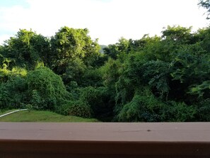 Deluxe Apartment, 2 Bedrooms, Garden Area | Garden view