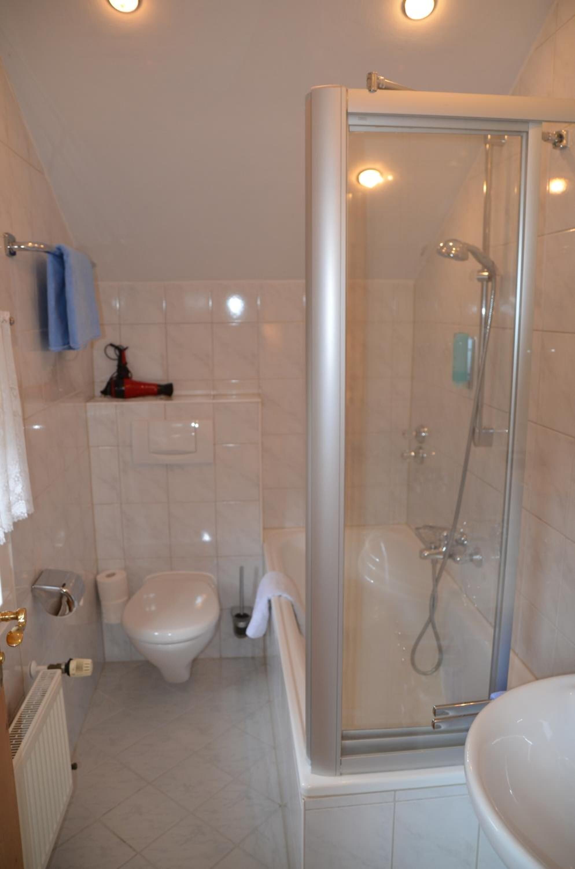 shower, free toiletries, hair dryer, towels