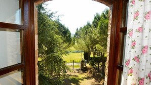 A window with a view of a rural landscape, including trees and a fence.