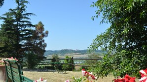 A green bench in a garden with red and white flowers in the foreground, a wooden fence, and a view of hills in the distance.