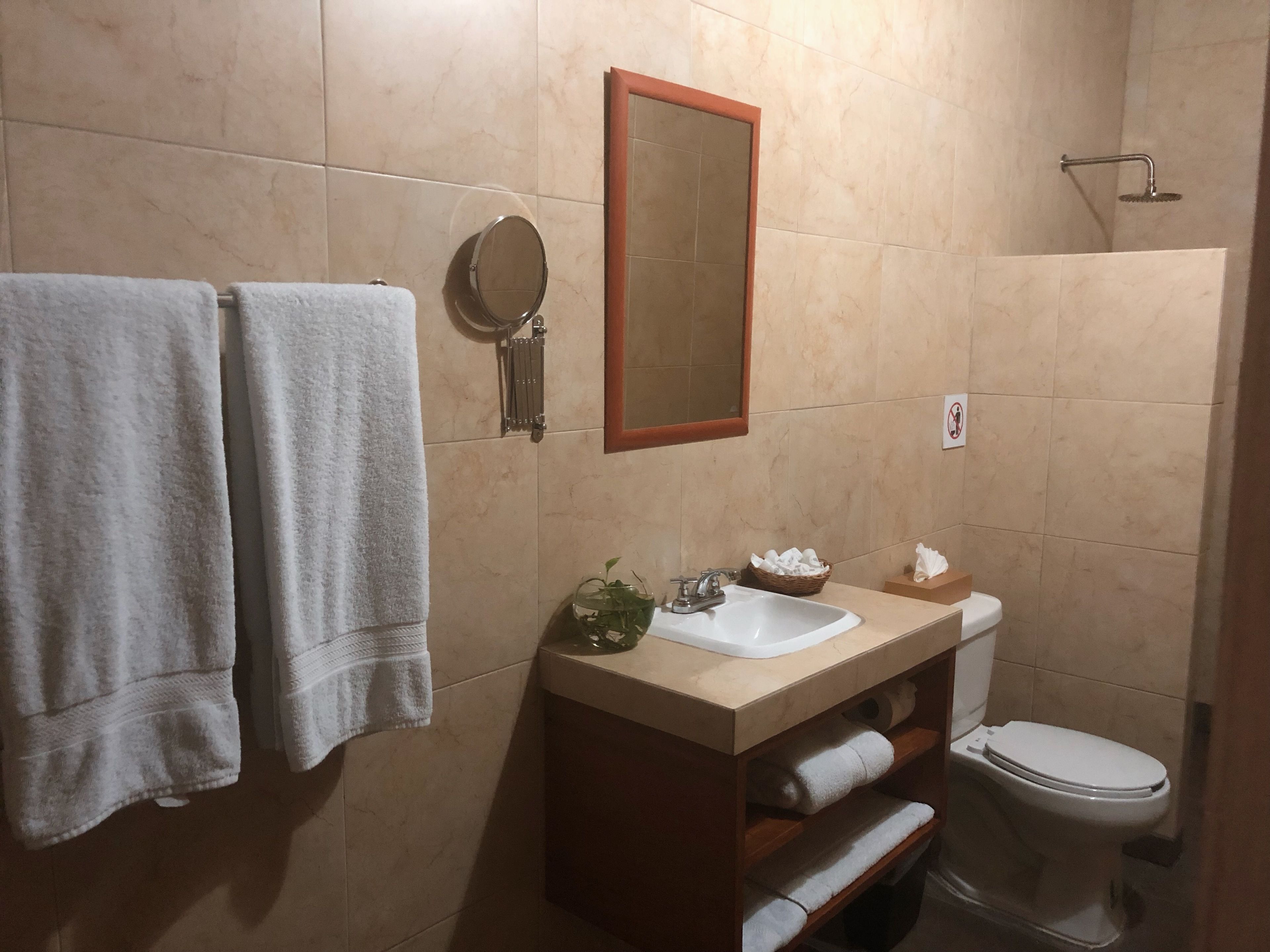 standard suite | bathroom | shower, free toiletries, towels