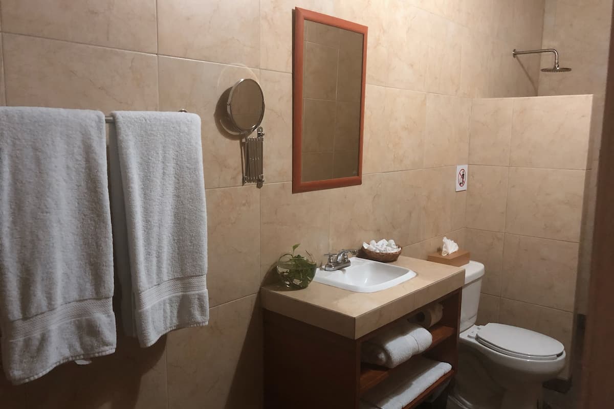 standard suite | bathroom | shower, free toiletries, towels