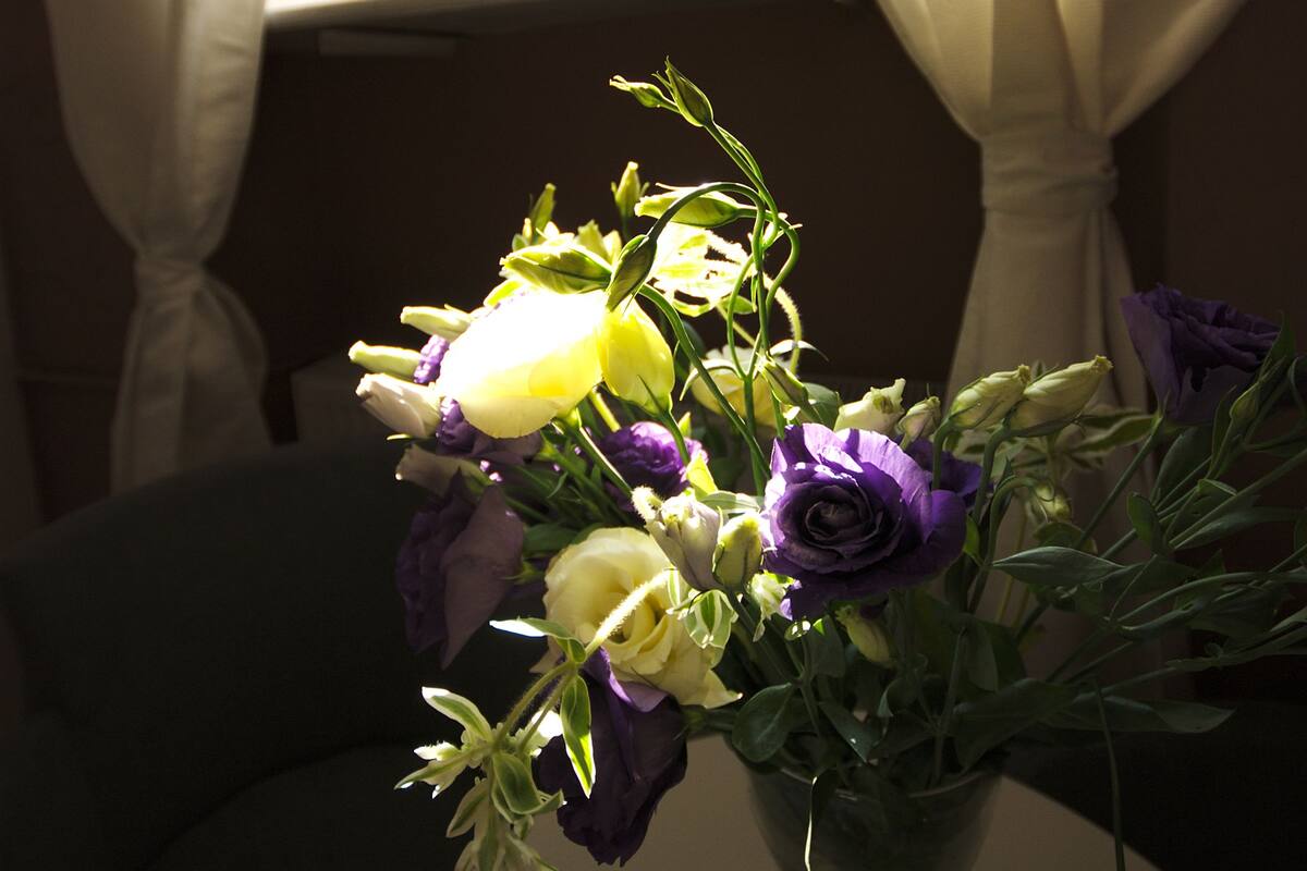 A vase with flowers on a table near a window with curtains.