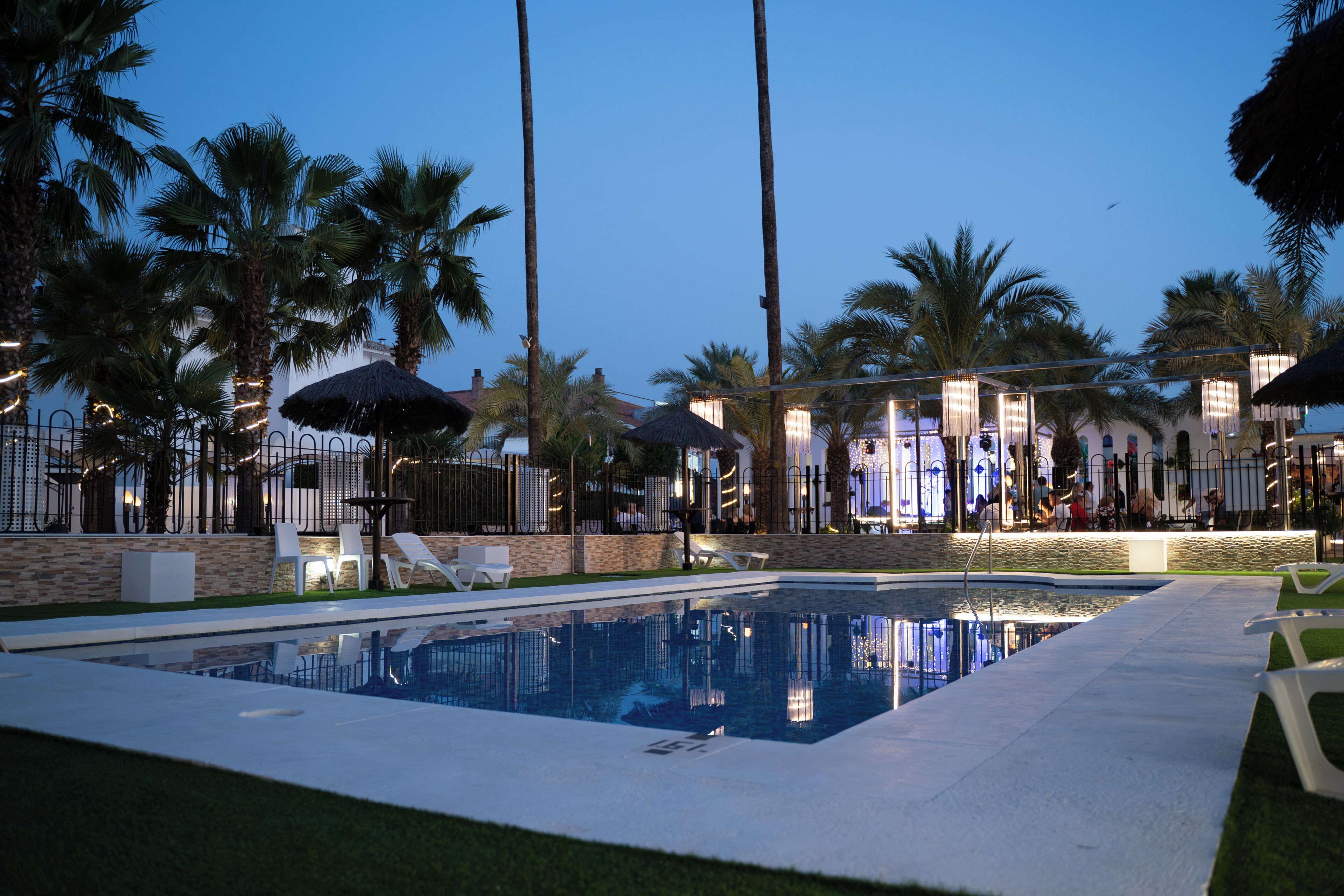 A swimming pool with lounge chairs and palm trees.
