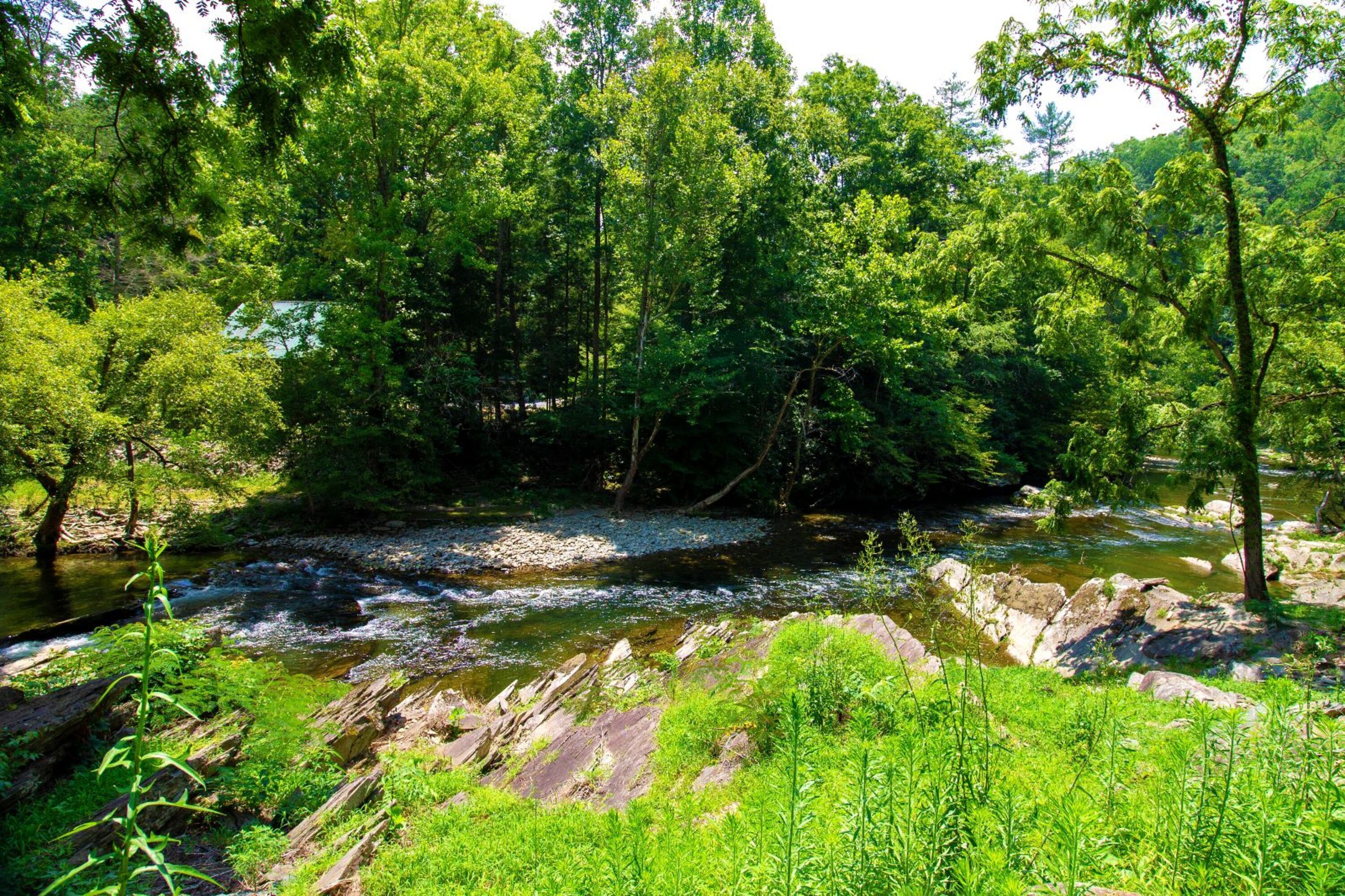 A river flowing through a forested area with rocks and greenery.