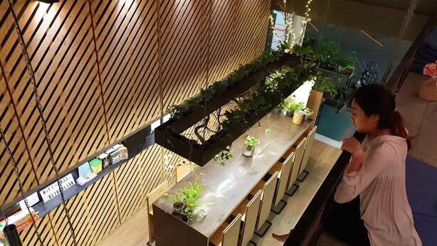 Restaurant - Hugger Hostel (Phuket)