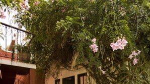 A courtyard with a brick pathway, potted plants, and a building with a window and door. - Casa Capuchinas (Antigua Guatemala)