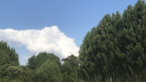 A grassy field with a white fence and trees in the background. - Le Salin (Brehal)