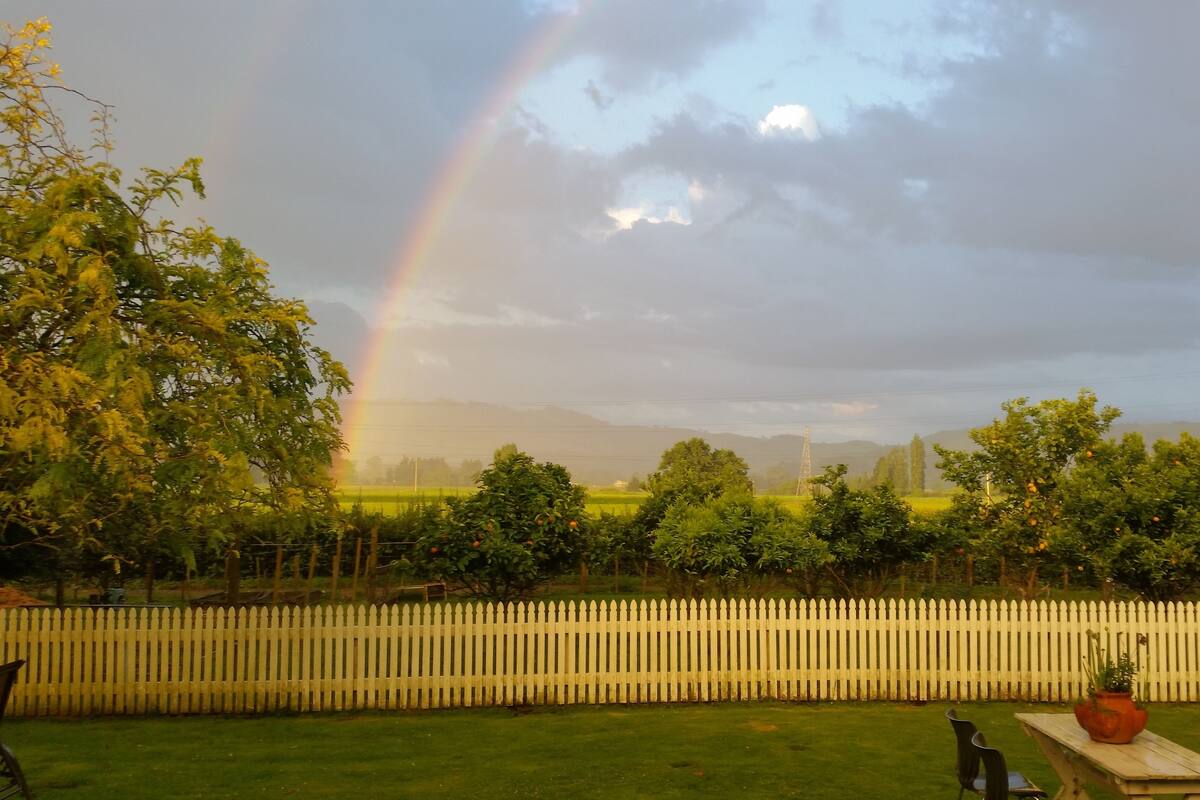 A garden with a white picket fence, a picnic table, and a bench.