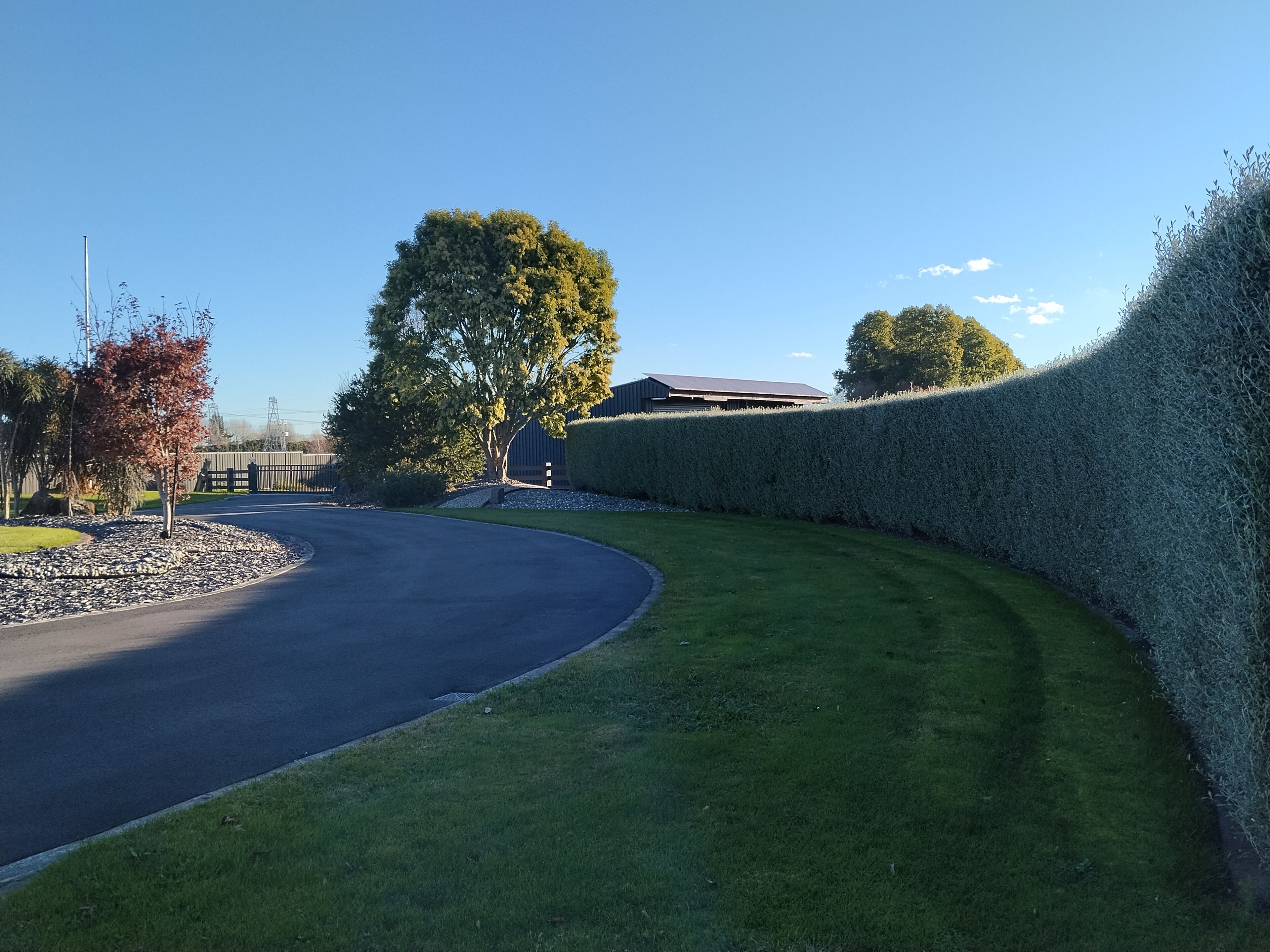 Una carretera curva con setos, un árbol y un edificio al fondo.