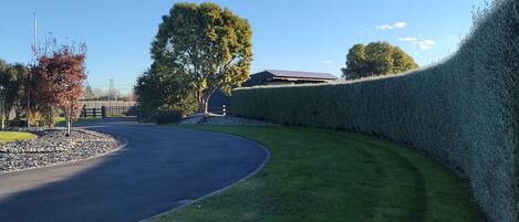 Una carretera curva con setos, un árbol y un edificio al fondo.