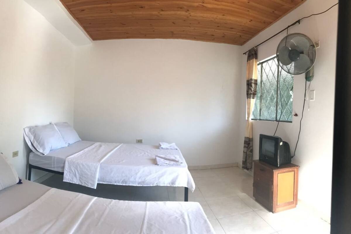 Una habitación con dos camas, techo de madera, ventana con cortina y un televisor pequeño sobre un mueble.