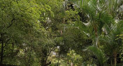 Caracoral Hotel Boutique & Spa