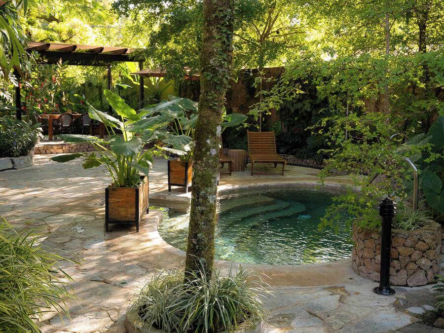 Un patio de piedra con una pequeña piscina, rodeado de abundante vegetación y una pérgola de madera.