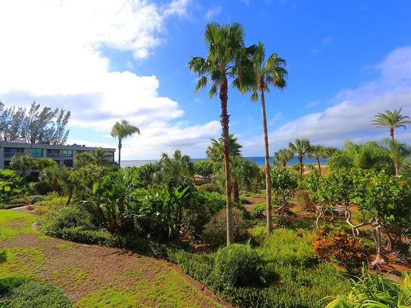 Patio View