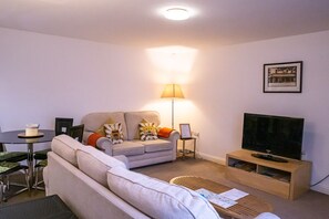 تلفزيون، مشغل دي في دي