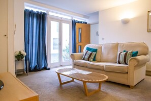 تلفزيون، مشغل دي في دي