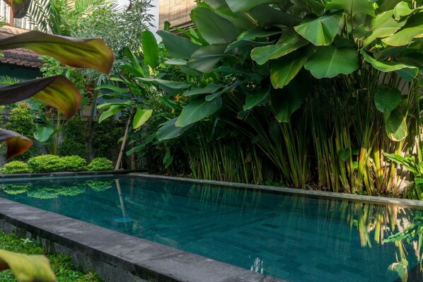 Outdoor pool - Eka Bali Guest House (Ubud)