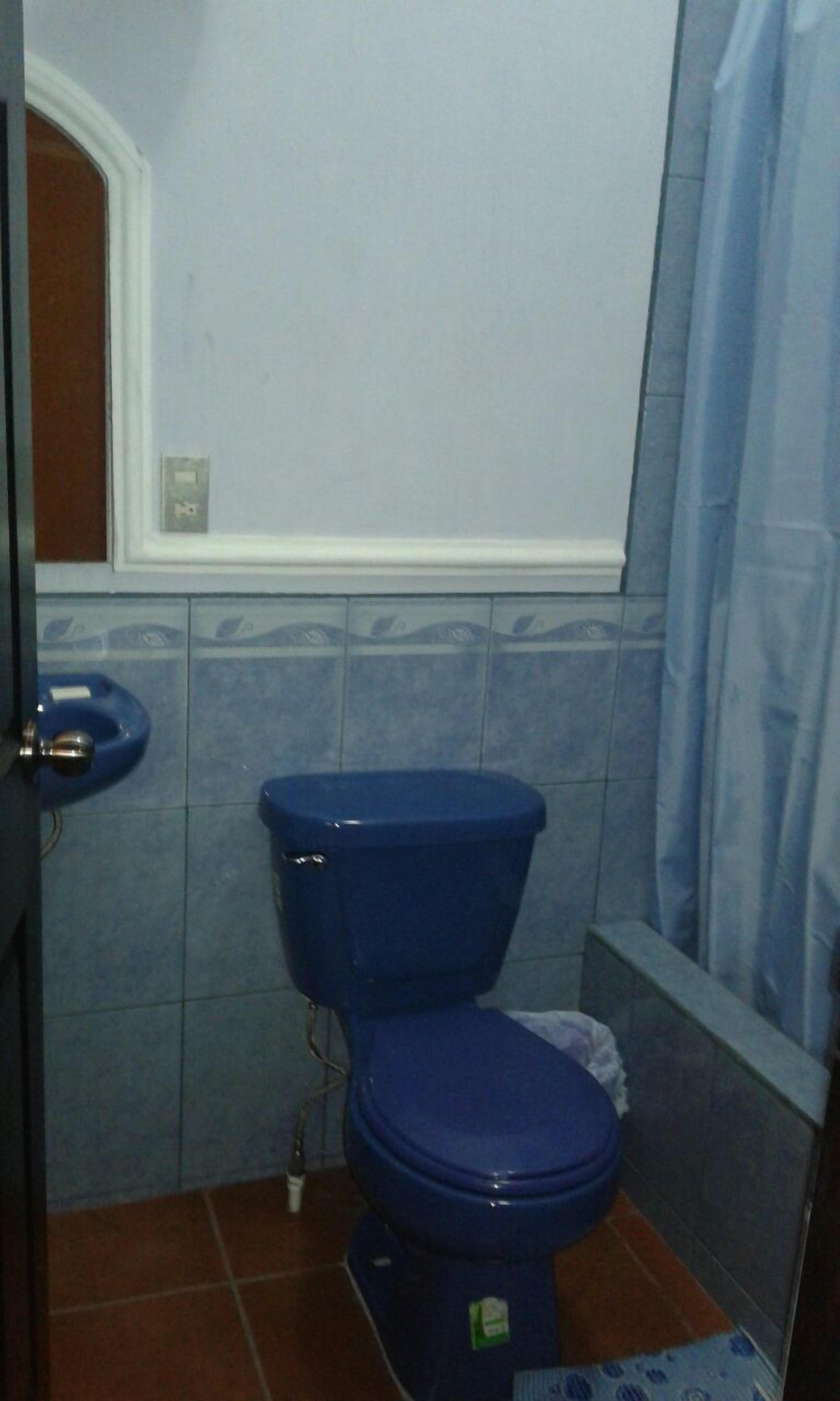 A small bathroom with a blue toilet, a sink, and a shower curtain.