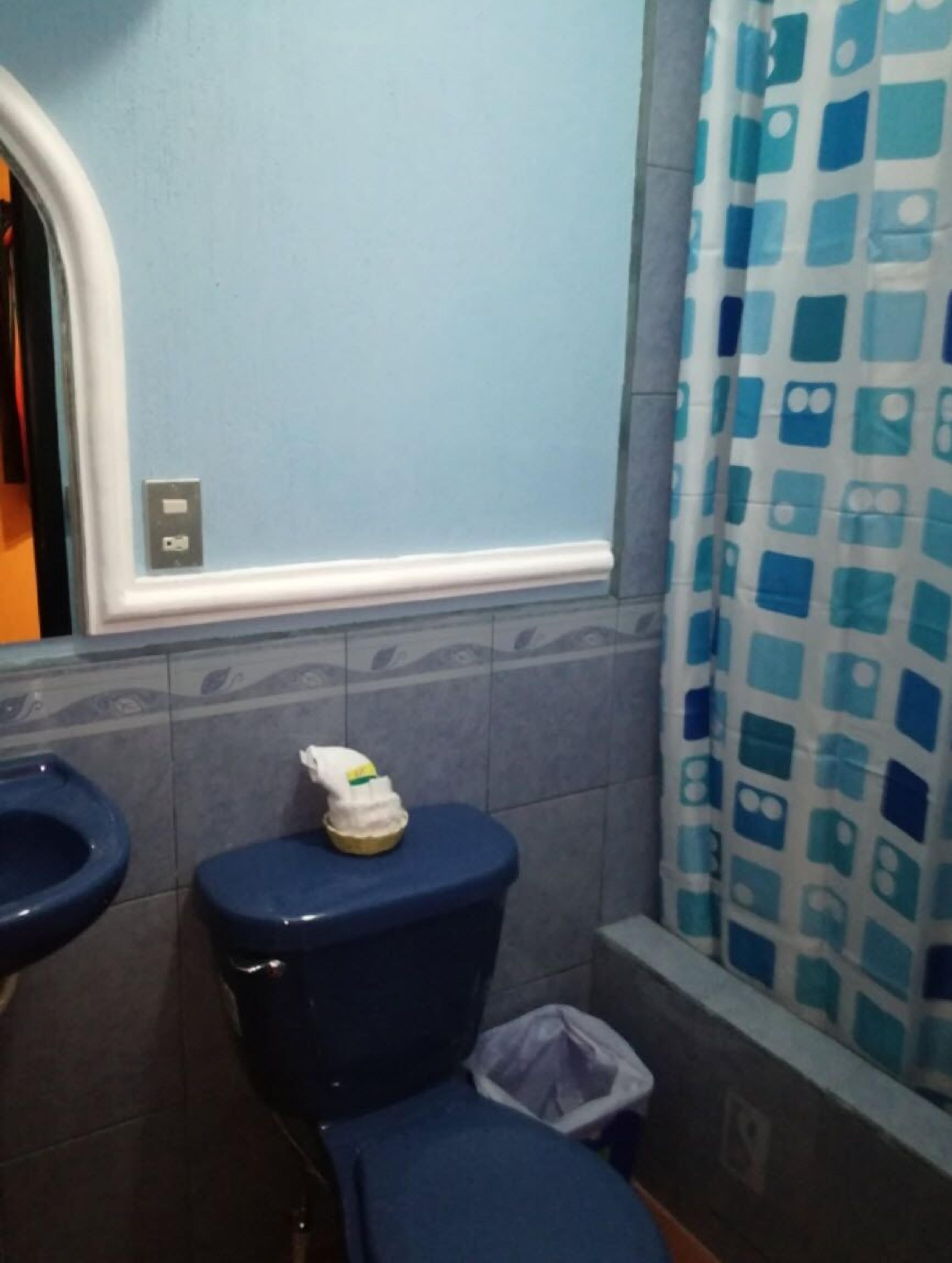 A bathroom with a toilet, a sink, and a shower curtain.