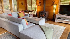 TV, fireplace, video-game console