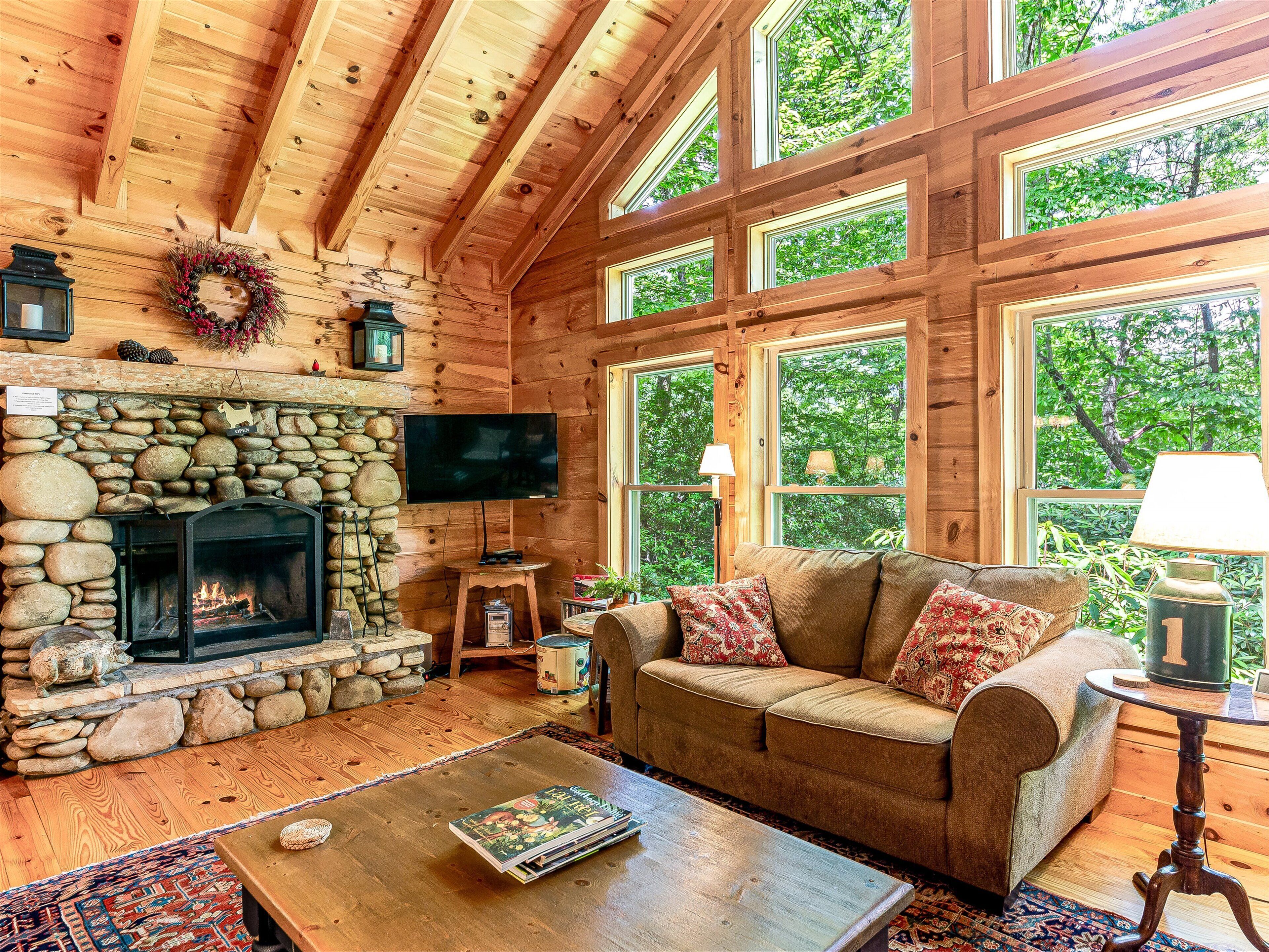 TV connectée, cheminée, lecteur de DVD, livres