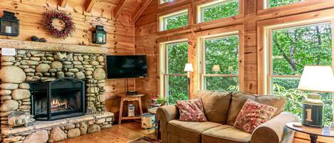 TV connectée, cheminée, lecteur de DVD, livres