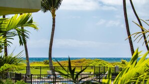 A view of a pool area with a fence, palm trees, and a body of water in the background.