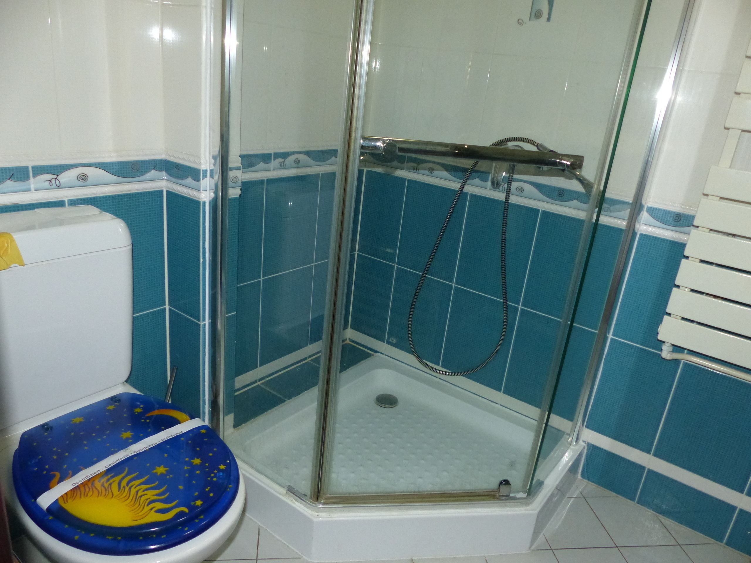 A bathroom with a glass-enclosed shower, a toilet with a blue seat, and blue and white tiled walls.