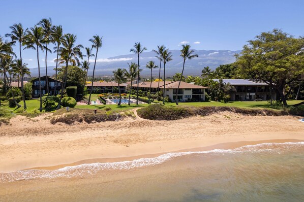 A beachfront property with a pool, palm trees, and a view of a mountain range.