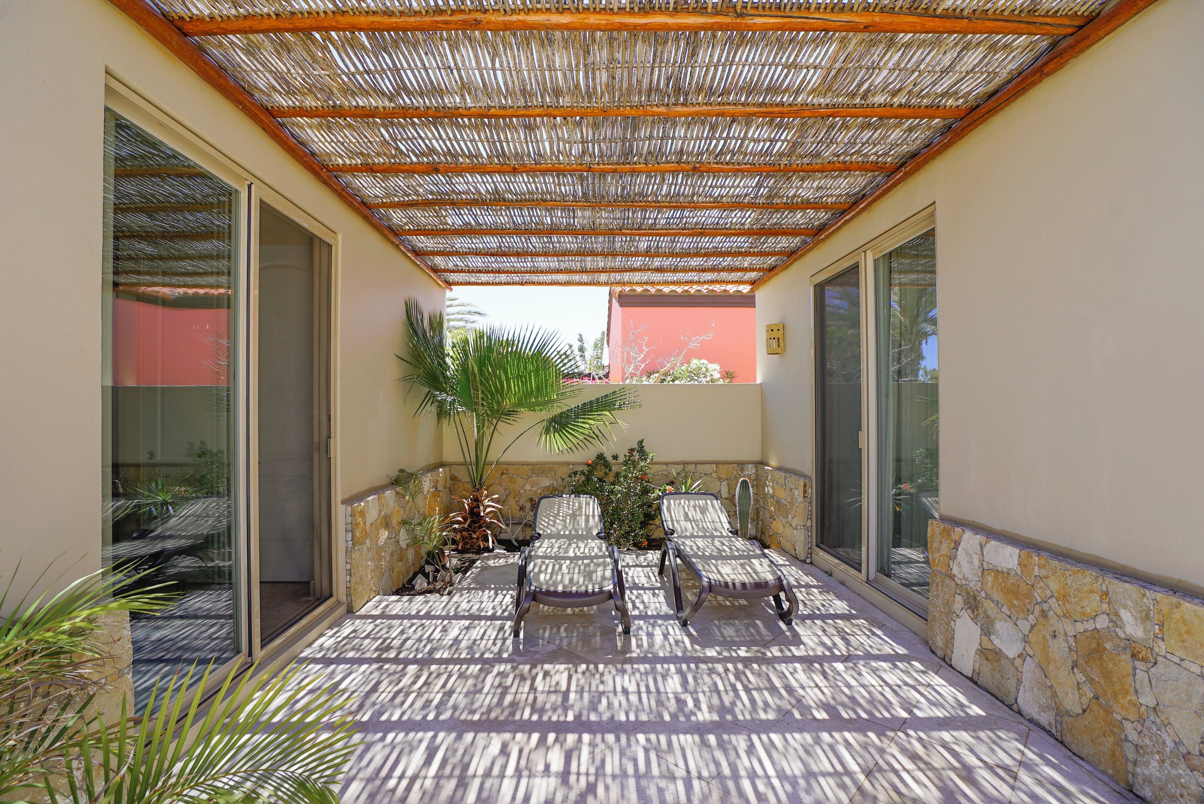 A covered outdoor seating area with chairs and a palm tree.