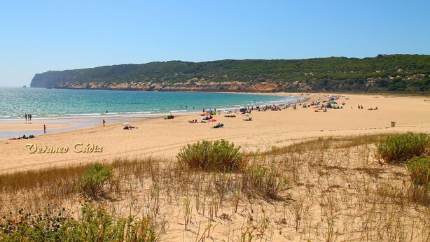 A beach with people, umbrellas, and a clear sky. - Apartment by the beach in Barbate (BARBATE)