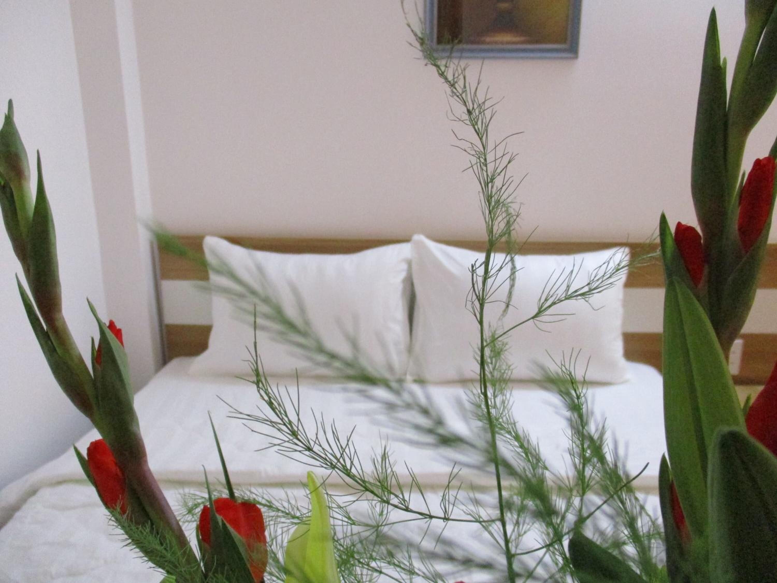 Foto - City Backpackers Hostel