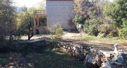 Ecofriendly guesthouse surrounded by nature