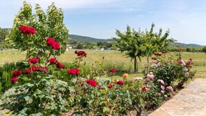 A garden with various flowering plants and trees, a stone pathway, and a rural landscape in the background. - Apartment in French Riviera with Pools (GRIMAUD)