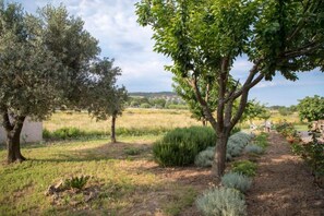 A garden with trees, a pathway, and a field in the background.
